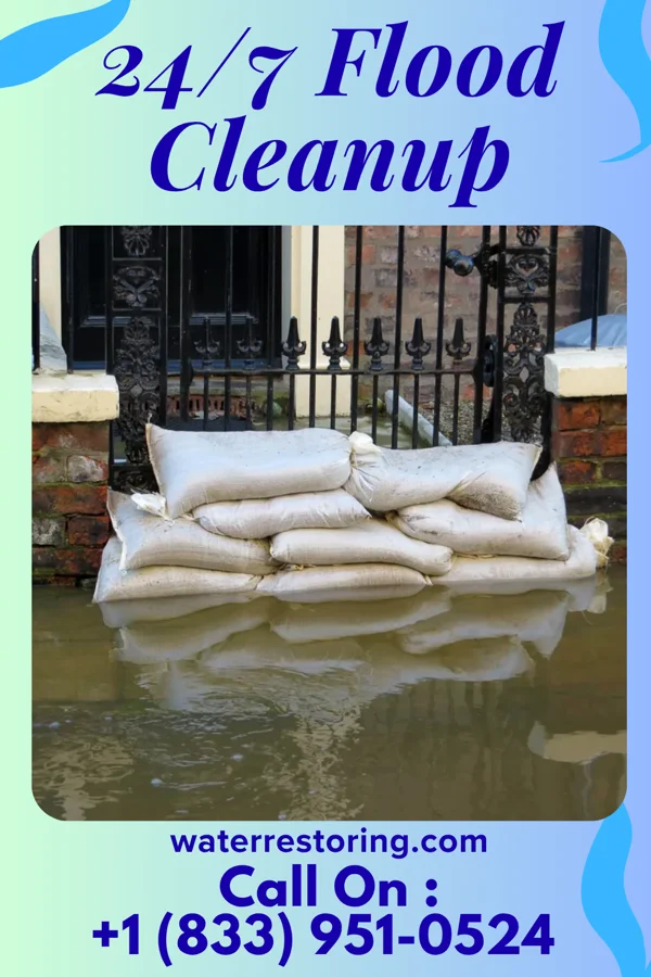 24/7 Flood Cleanup in Staples, MN