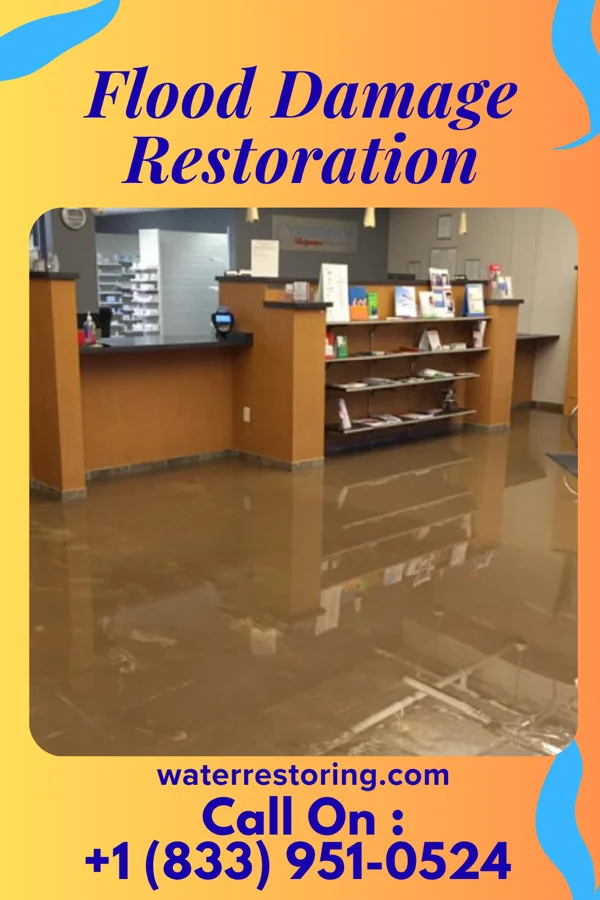 Flood Damage Restoration in Staples, MN