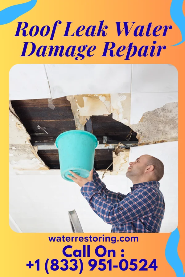 Roof Leak Water Damage Repair in Staples, MN